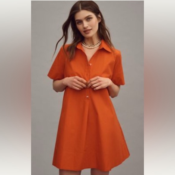 Anthropologie The Pollie Short-Sleeve Swing Tunic Mini Dress - Picture 1 of 3